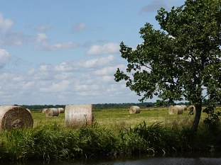 Wandern in der Natur&nbsp;&copy;&nbsp;Hamme Forum