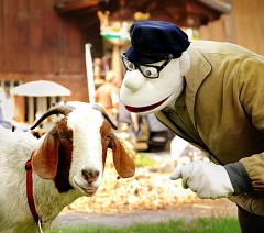 Pressefoto - Momsen, Tiere, Sensationen (2).jpg